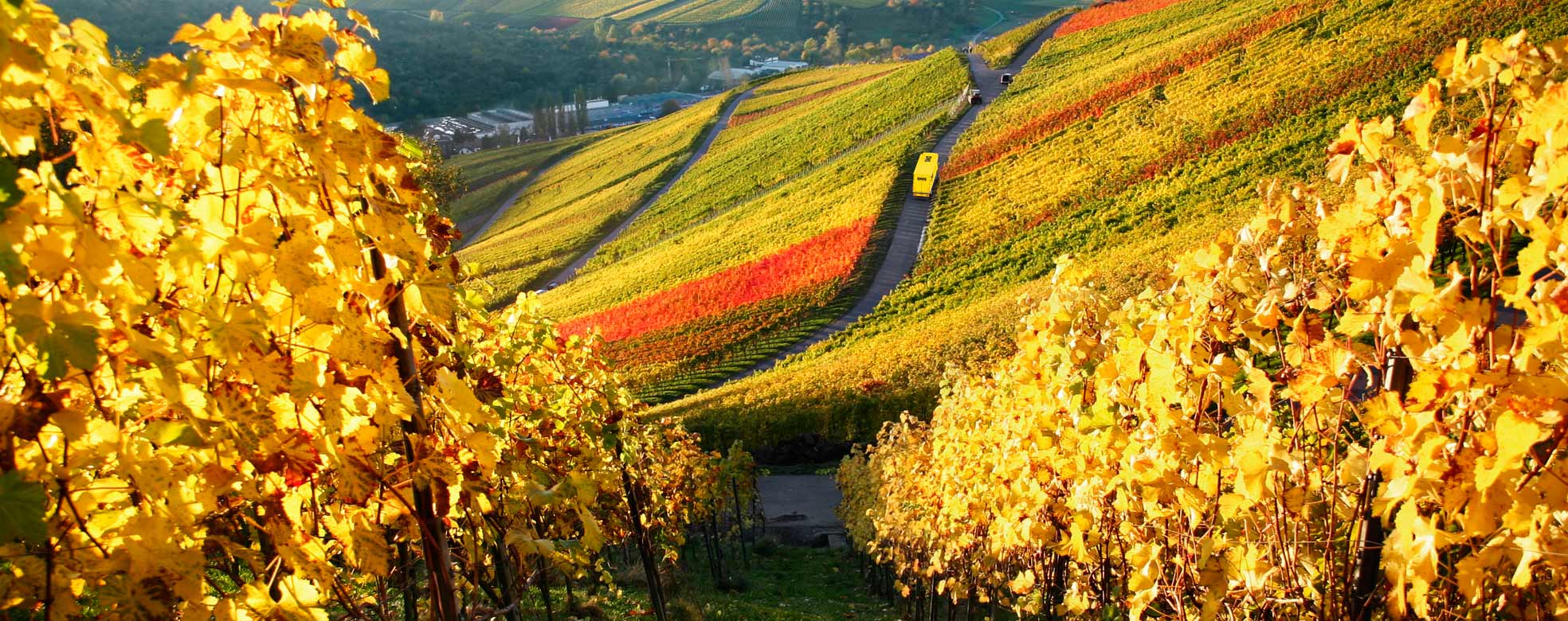 Umzugsfahrzeug im Weinberg